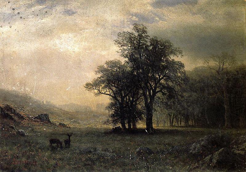 Albert Bierstadt The Open Glen, New England china oil painting image